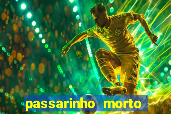 passarinho morto significado espiritual